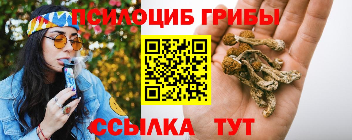 Галлюциногенные грибы Psilocybe  Вход с VPN  Псилоцибиновые грибы мухоморы  Кушва 